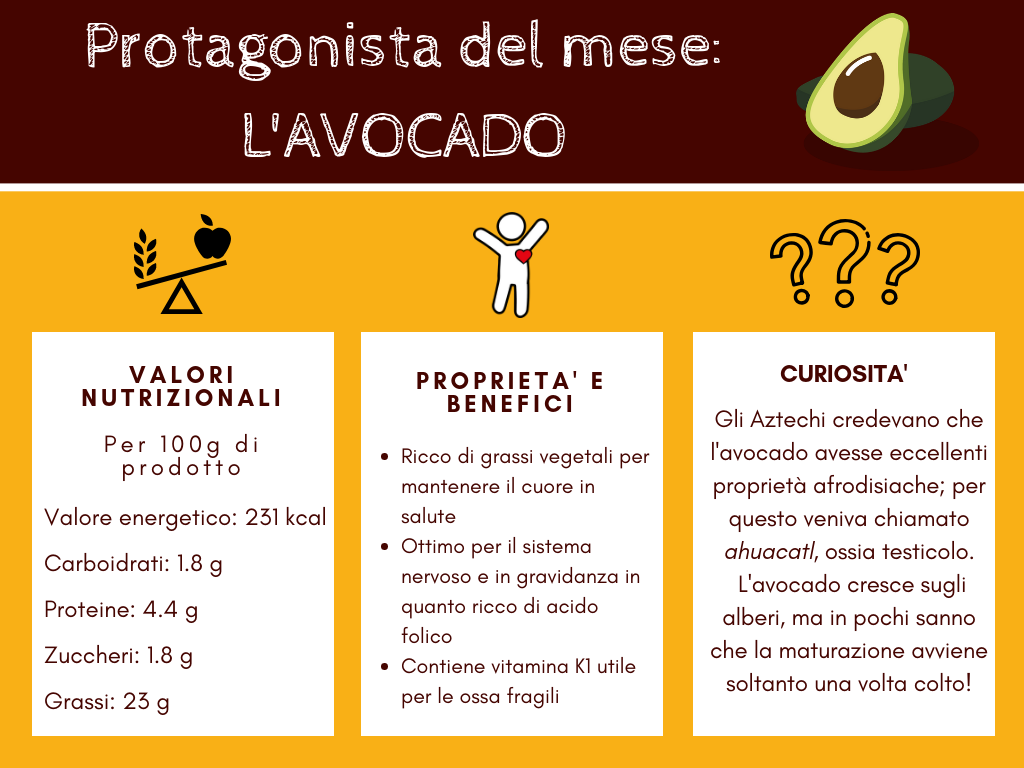 Valori nutrizionali, proprietà e curioità dell'avocado