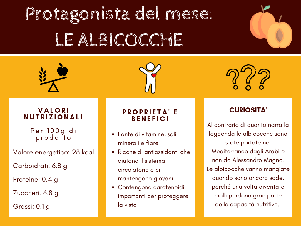 albicocche-proprietà-benefici-curiosità