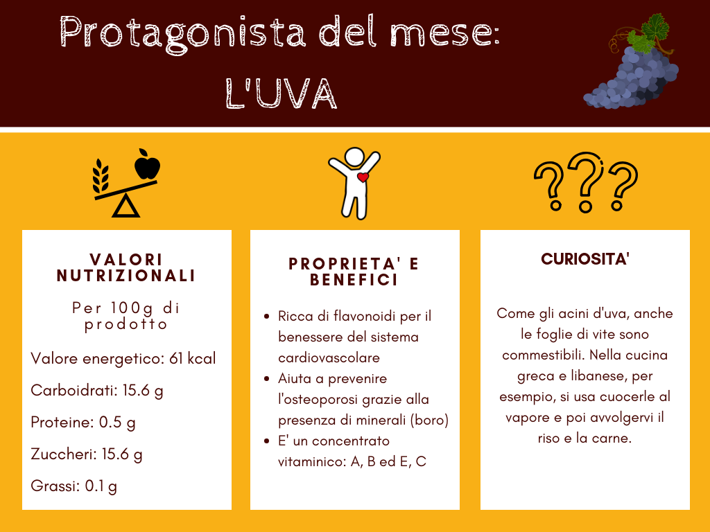 uva-benefici-proprietà-curiosità-la-bottega-dei-pensieri